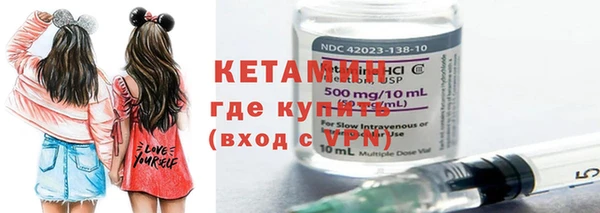 индика Надым