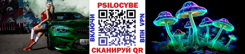 Псилоцибиновые грибы ЛСД  кракен зеркало  Ангарск  наркота 